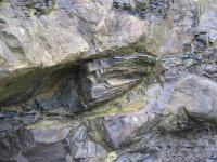 Albums/20060200-New Zealand 2006/20060313-Catlins/31